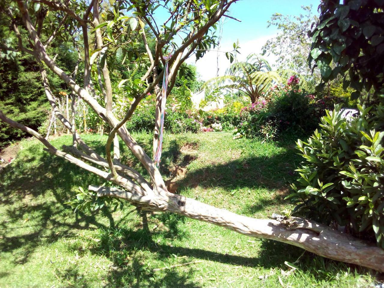 Fairy Hostel Nuwara Eliya Exteriör bild